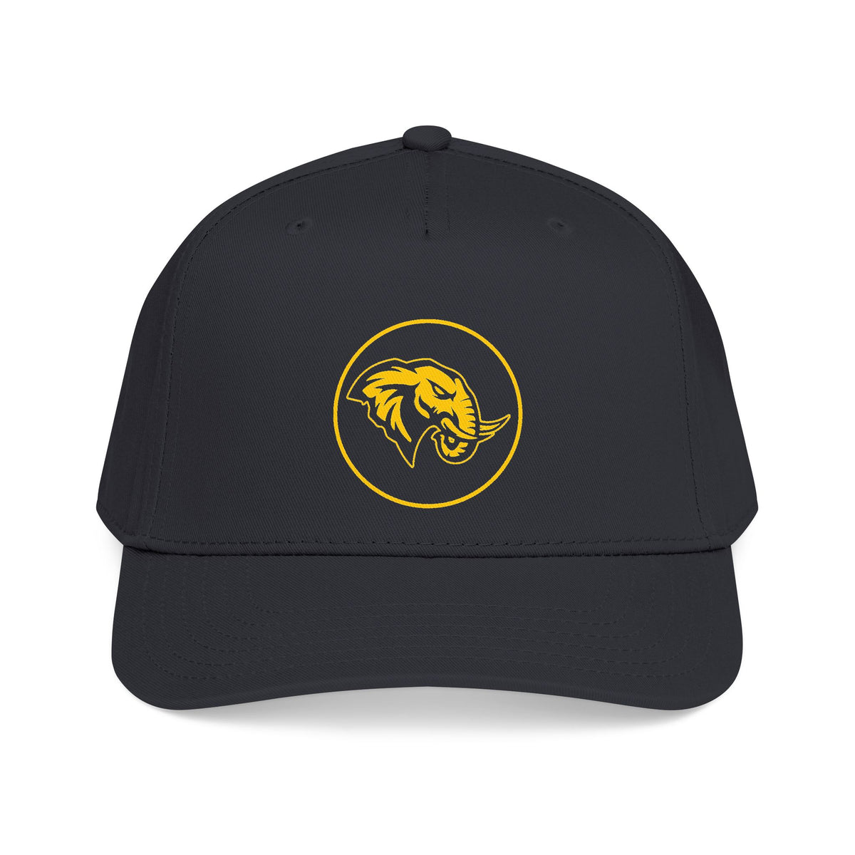 Rogue Bezel Baseball Cap